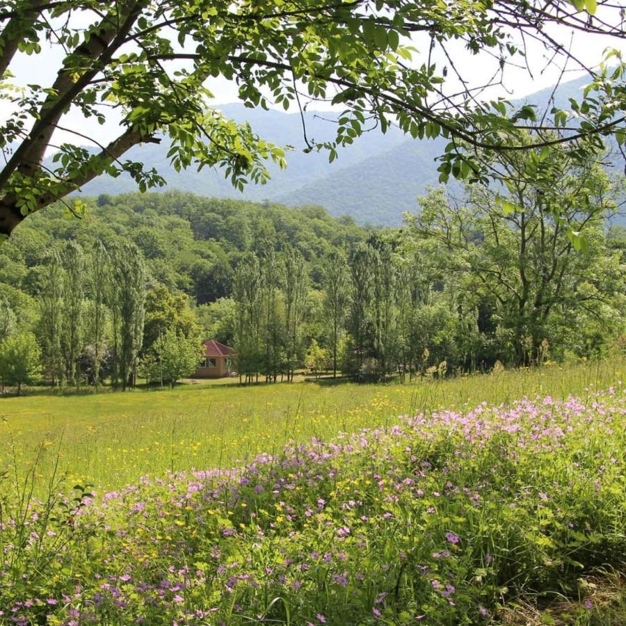 Grand Village Ismayilli Esterno foto